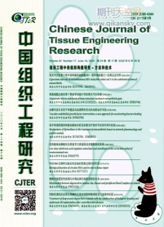 中性粒细胞趋化因子3可影响神经干细胞的存活和增殖