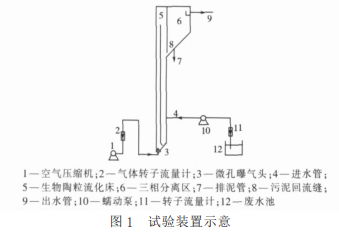 高效复合生物流化床反应器三相分离区污泥对处理效果的影响