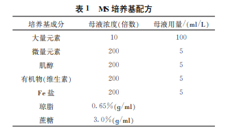 粉色马蹄莲组织培养研究