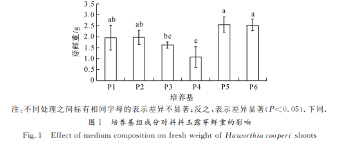 多肉植物抖抖玉露组培快繁技术研究