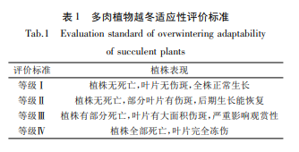 贵州省植物园多肉植物越冬试验研究