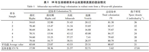 核桃园土壤丛枝菌根真菌多样性及接种效应