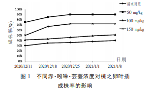 不同浓度赤·吲哚·芸薹对多肉植物桃之卵和黛比叶插繁殖的影响