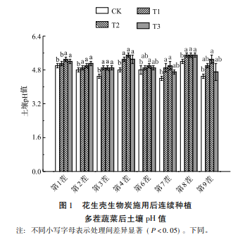 花生壳生物炭对土壤改良、蔬菜增产及其持续效应研究