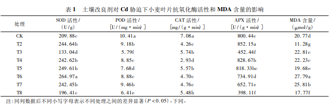 土壤改良剂对镉污染土壤小麦抗性、光合特性及产量的影响