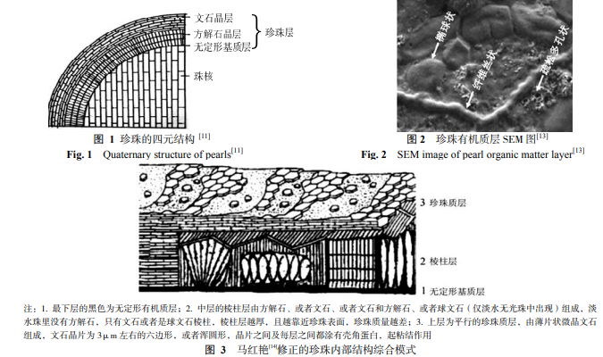 海水珍珠矿化机制研究及仿生材料研究进展