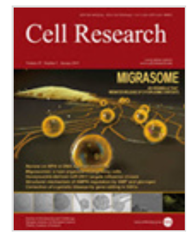 cell researchڿ