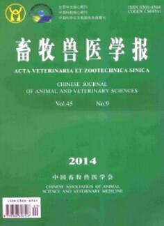 同时检测禽类六种病毒的金标银染可视化基因芯片的构建及初步应用