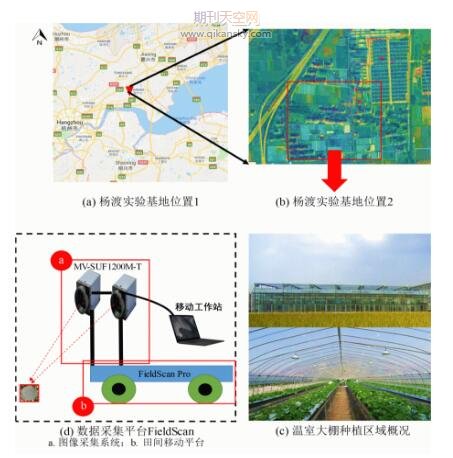 基于机器视觉与深度学习的西兰花表型快速提取方法研究