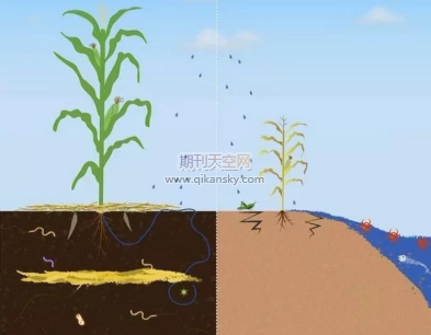 河流域设施农业土壤理化性质研究现状