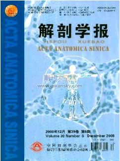 临床医学下的人体解剖学教学改革研究