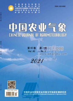 农业电影电视艺术的长效发展——评《中国农业电视发展战略研究》