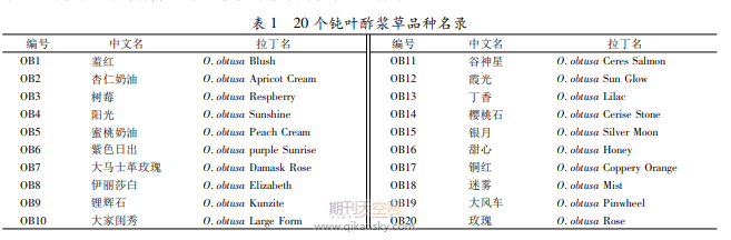 秋植钝叶酢浆草的园艺学性状调查分析