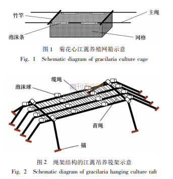 南方典型富营养化海区生态修复技术与策略