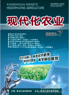 乡村振兴背景下边疆生态农业发展的问题审视及对策探讨