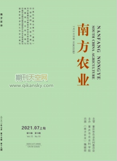 “美丽乡村”建设下营山县兴云村乡村旅游发展探讨