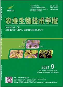 基于KASP技术的牛3种无角基因联合检测方法研究