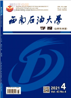 页岩气藏压裂缝网扩展流动一体化模拟技术